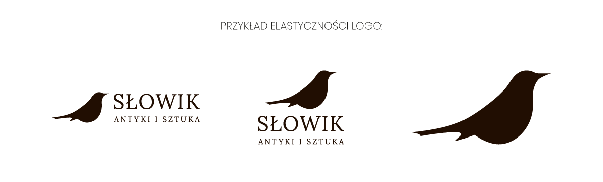 grafiki do wpisu branding bigger_grafika 1